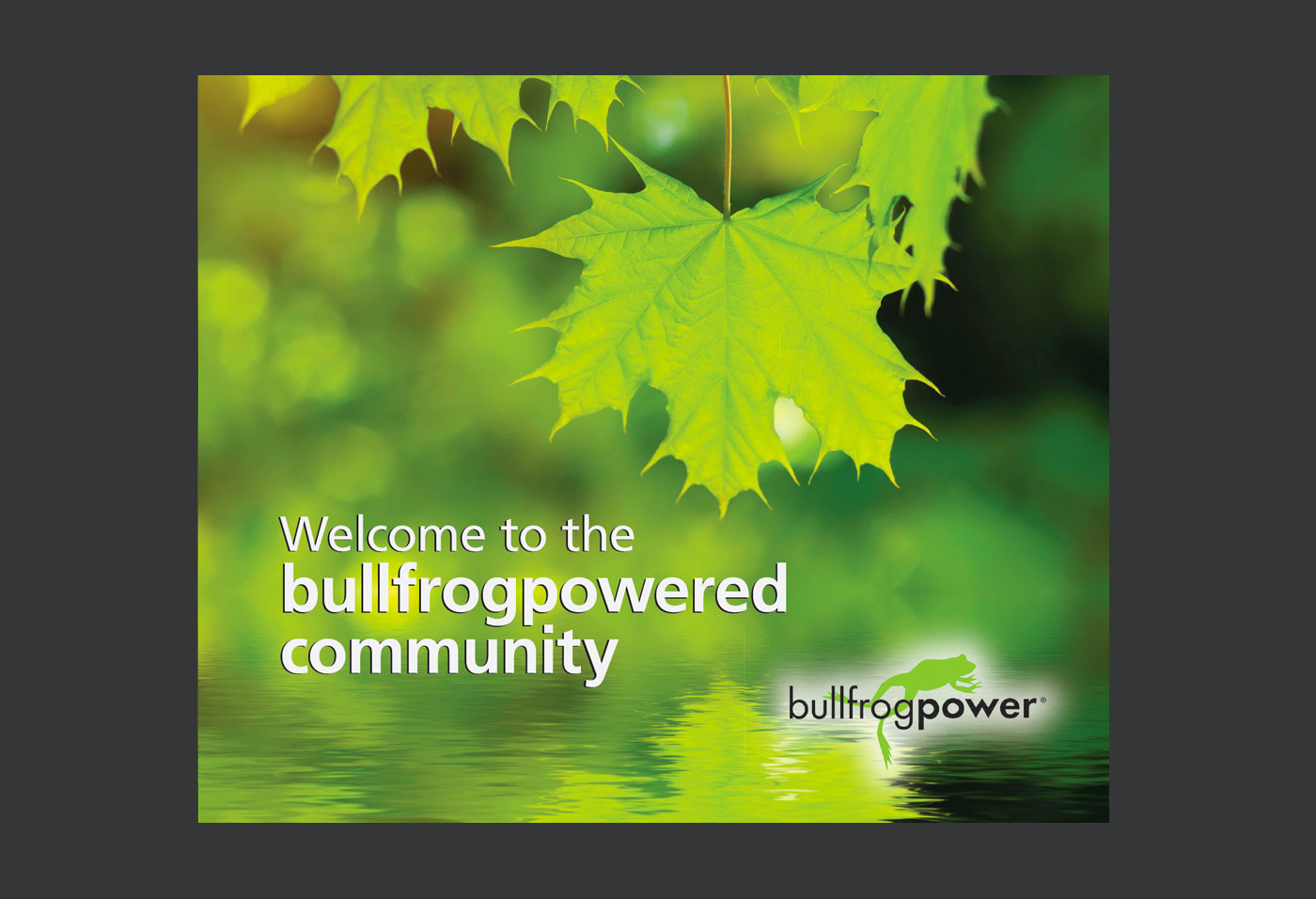 Bullfrogpowered Community Welcome Booklet by Joe Gravel at Coroflot.com