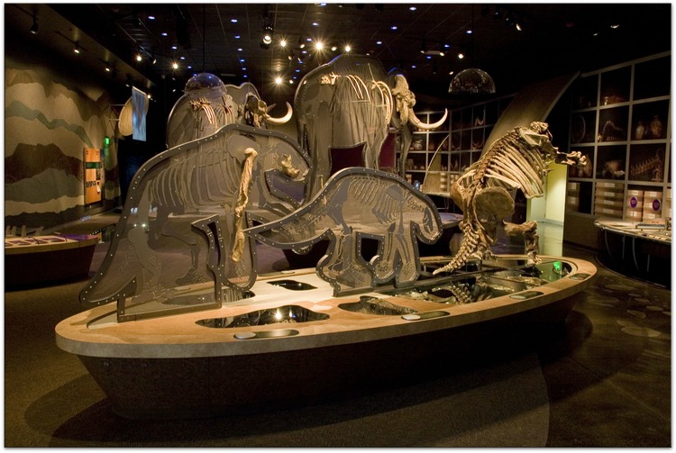 Western Center for Paleontology and Archaeology, Interpretive Exhibit