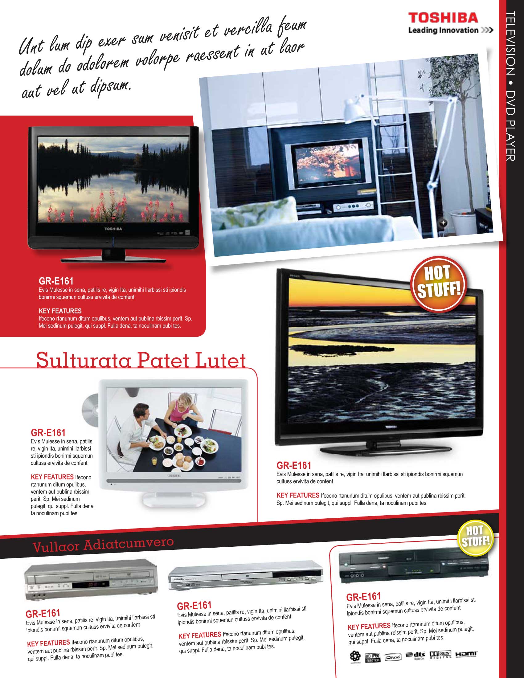 Toshiba Catalog by Darwin Sardez at