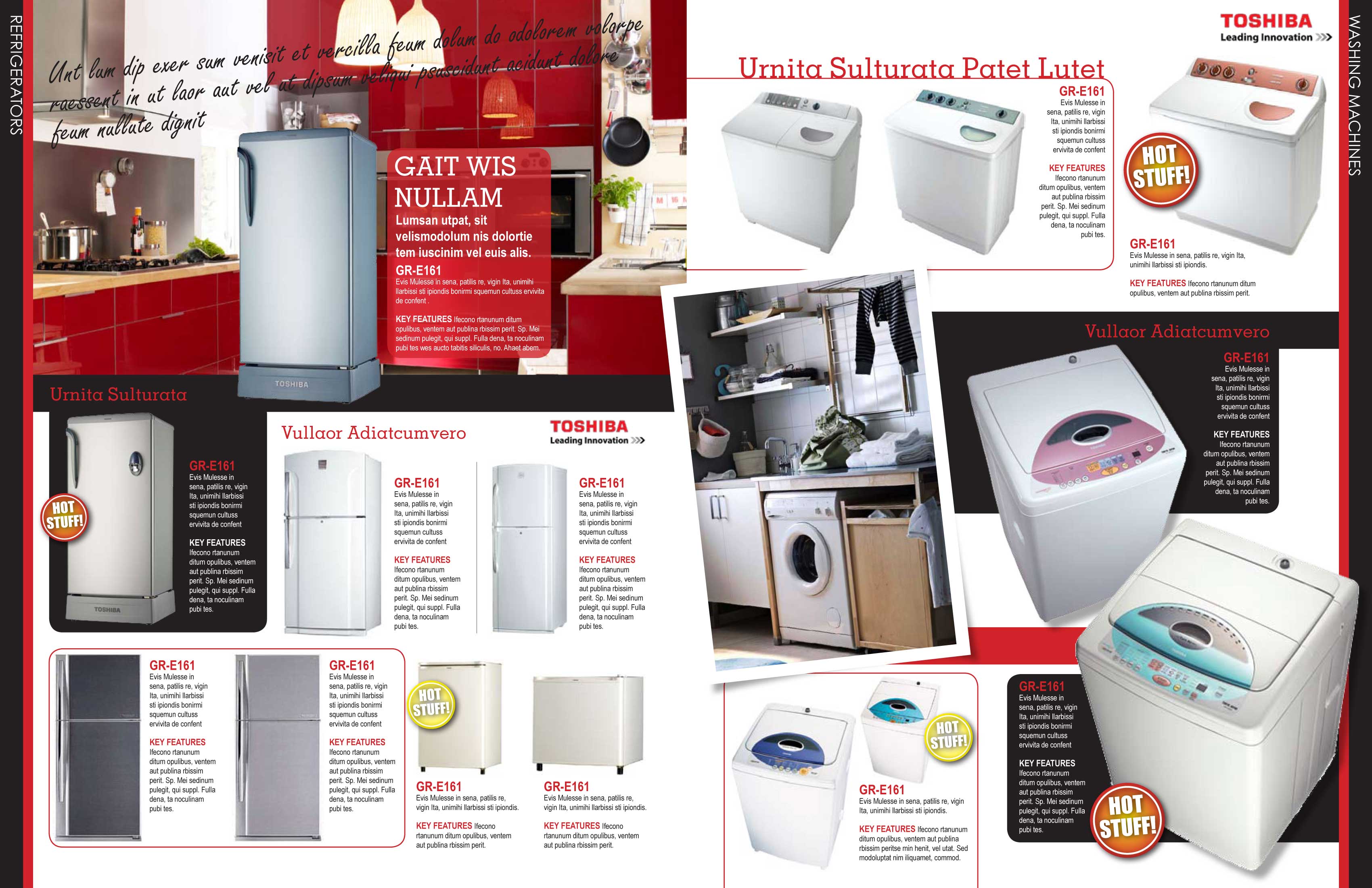 Toshiba Catalog by Darwin Sardez at