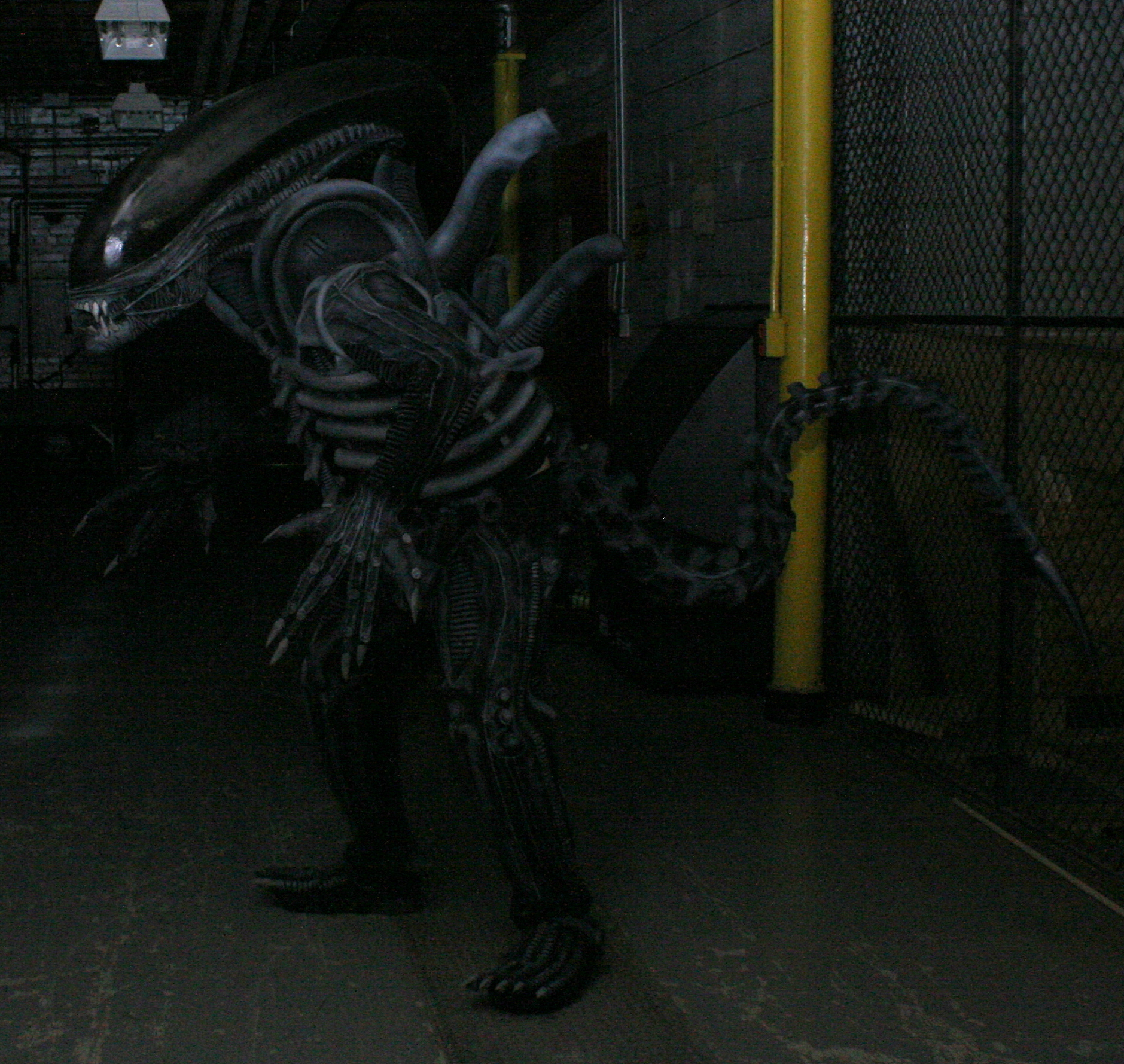 Xenomorph Costume 2012 by Ian Austin at