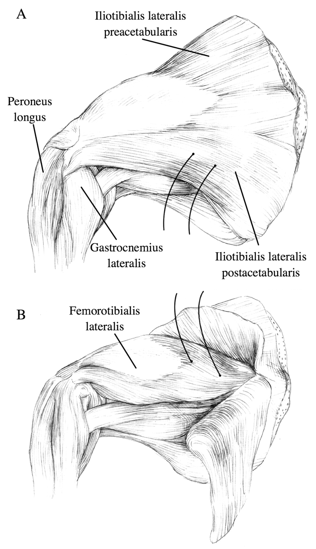 Body Art by Katherine Dey at Coroflot.com