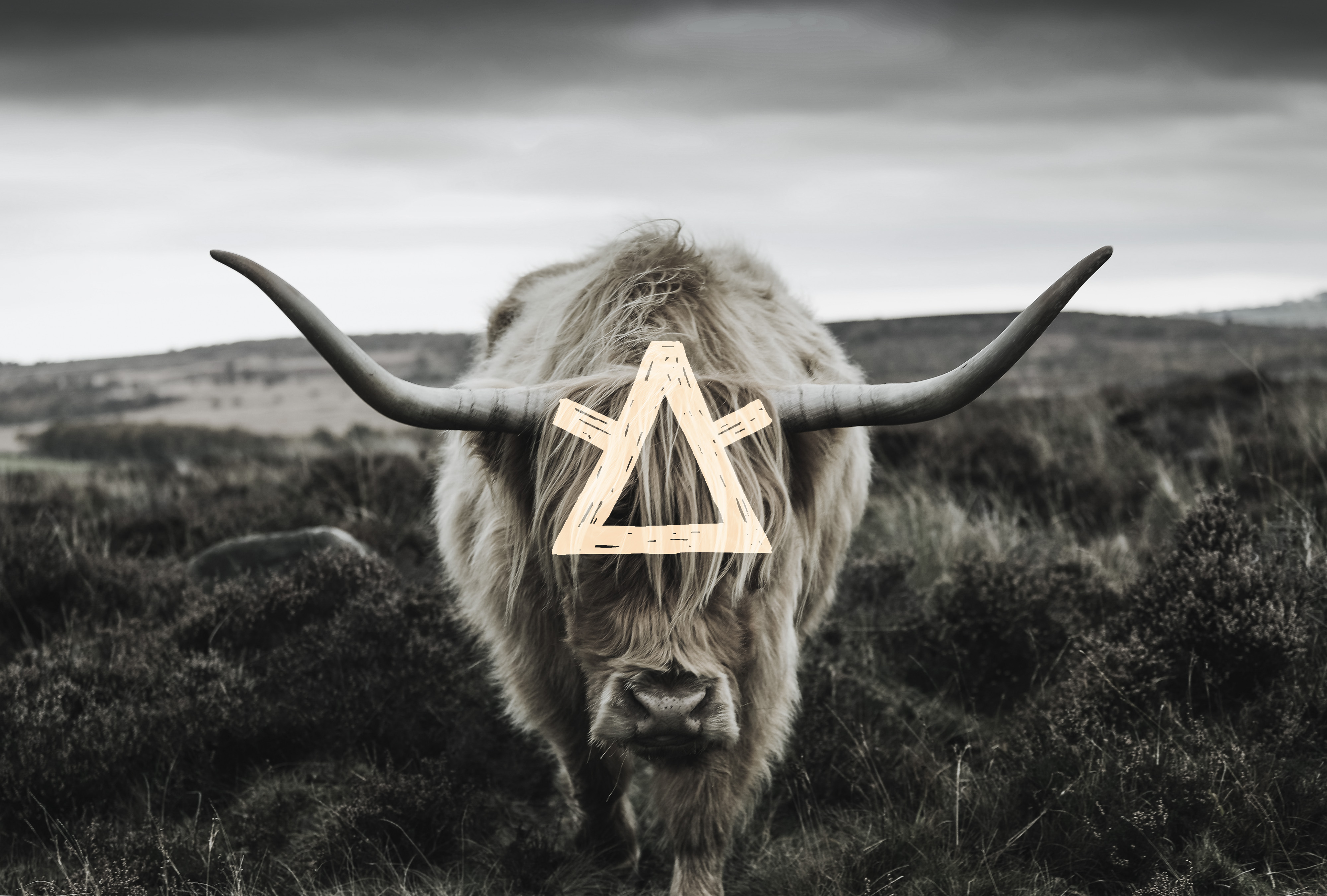 YAK Clothing by Ricardo Augusto Hoeppers at