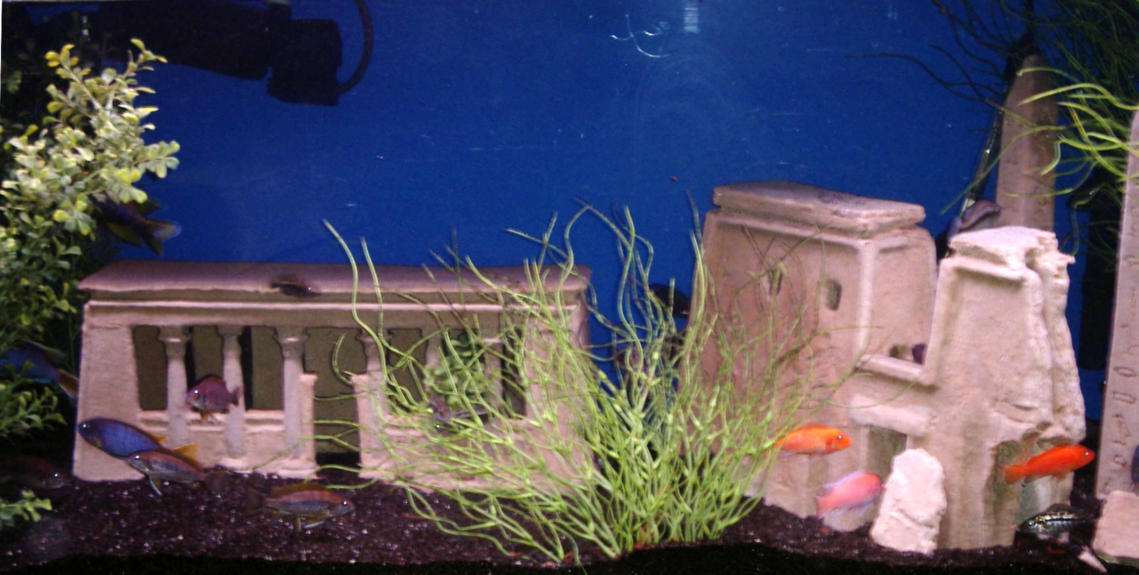 Egyptian Ruin Sculpture for a 75Gal Aquarium by Jim Henceroth at