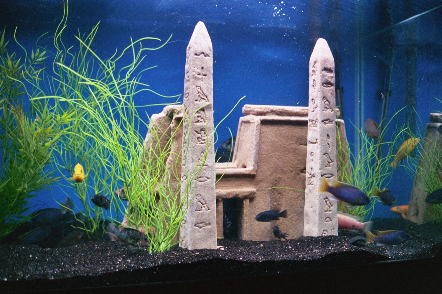 Egyptian Ruin Sculpture for a 75Gal Aquarium by Jim Henceroth at