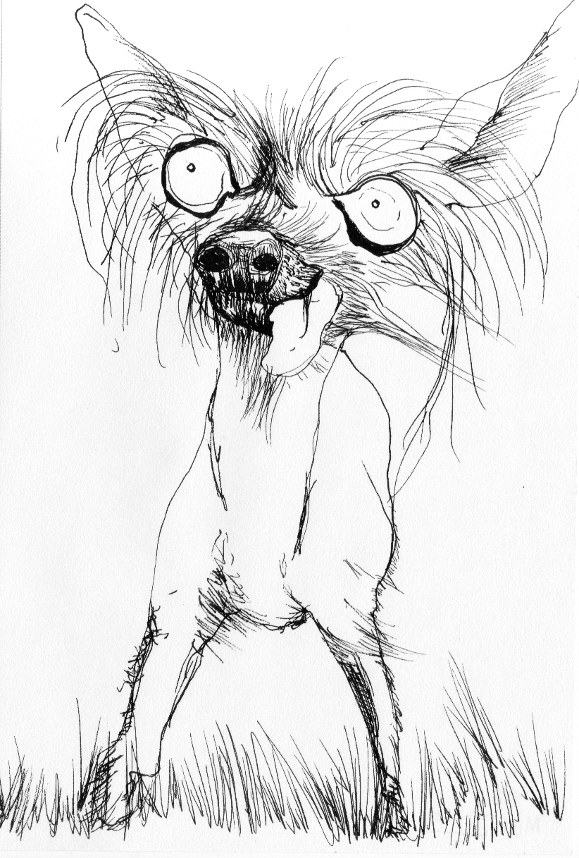 Ugly Dogs by Karla Enríquez at Coroflot.com