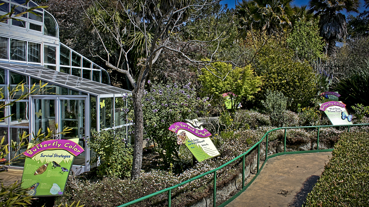 Six Flags Butterfly Exhibit by Ben Floyd at
