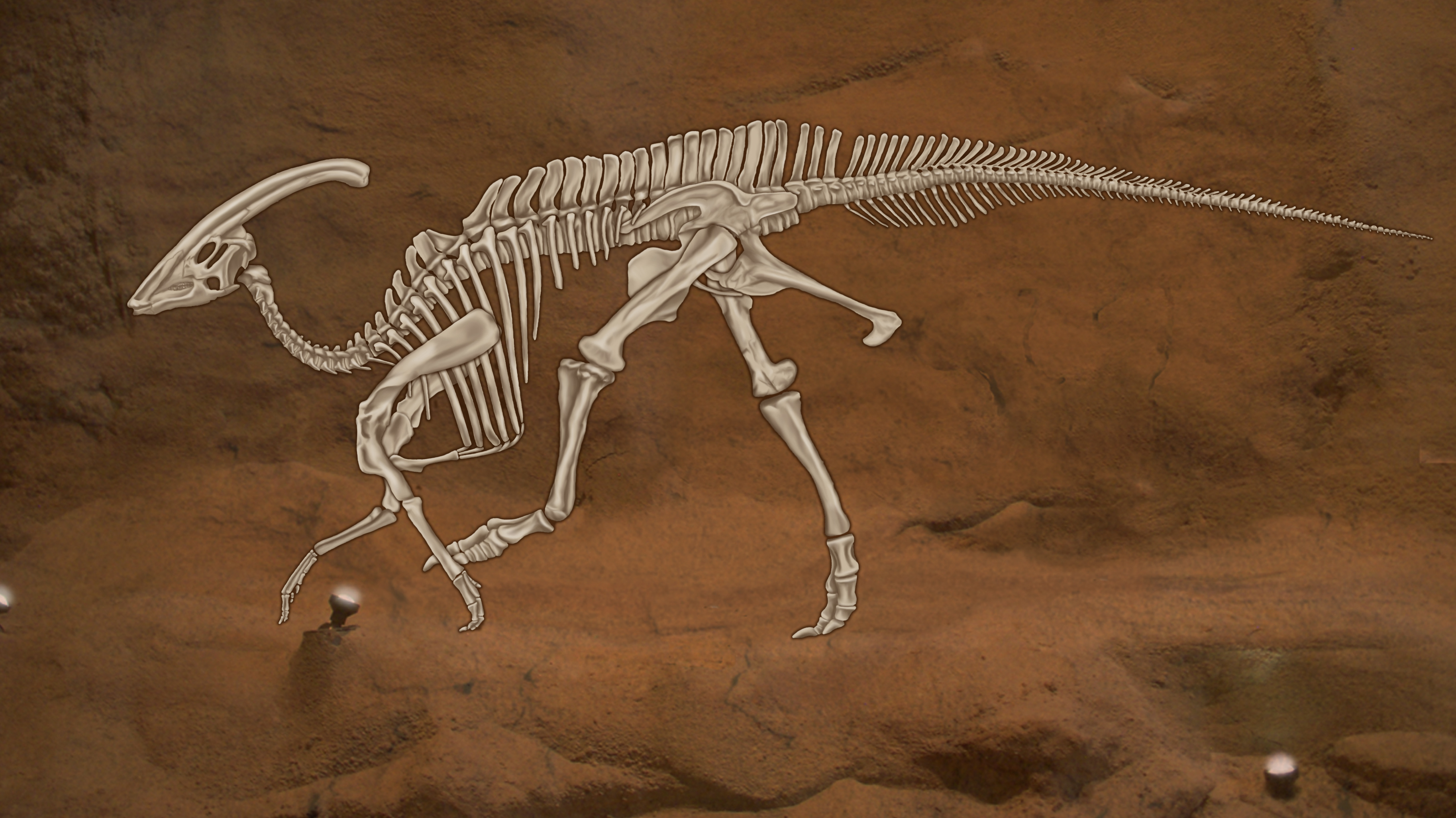 Paleontology Video Courses by Case Krawcewicz at