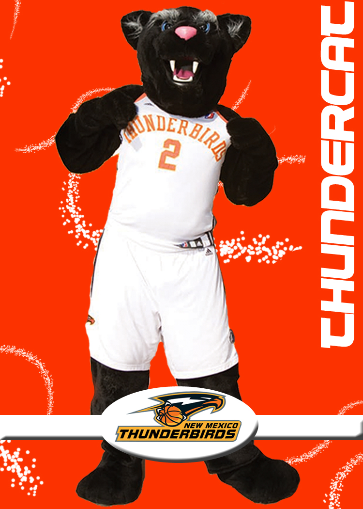 new mexico thunderbirds by stevenley sugiarso at