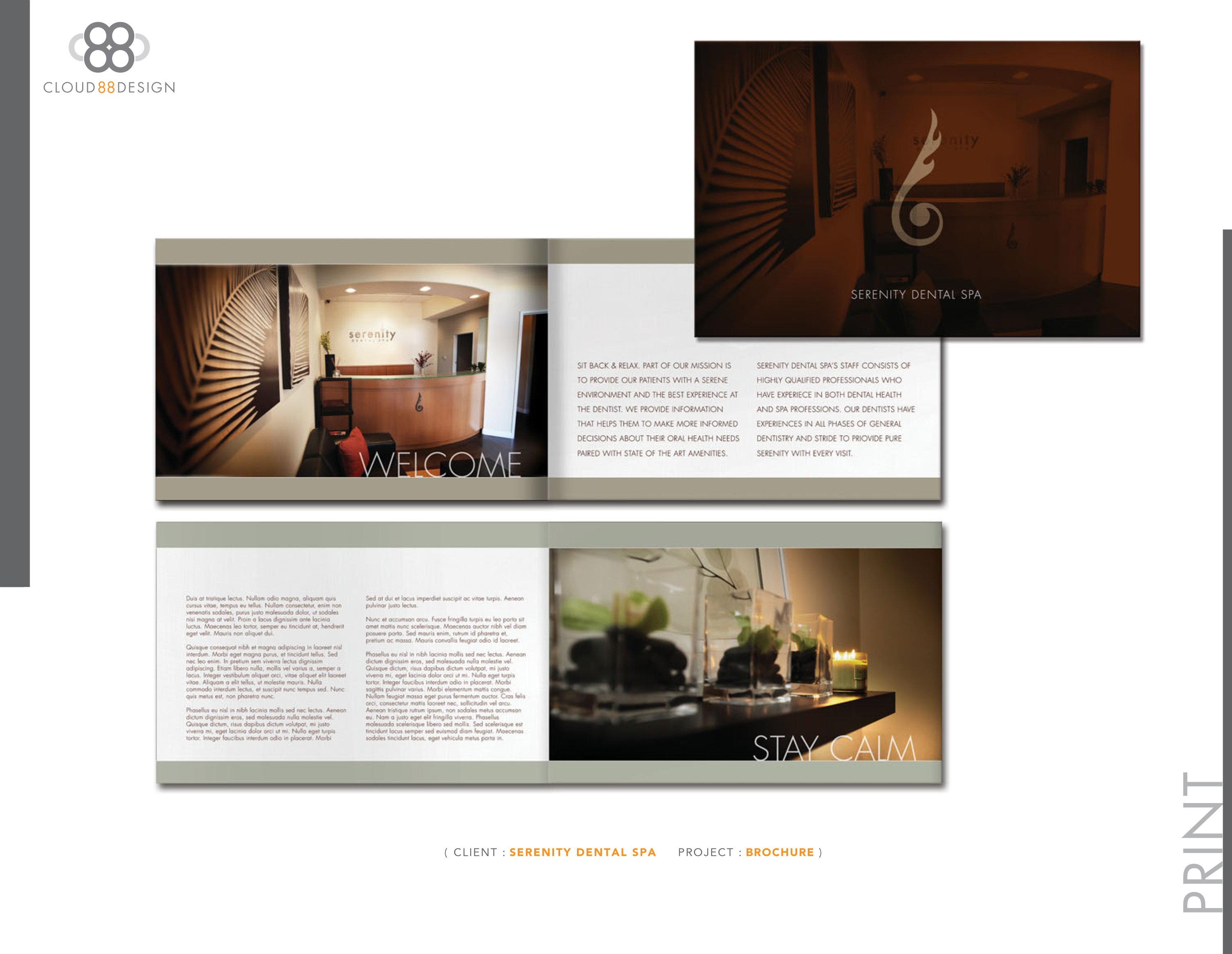 Case study 88 iron deficiency anemia image