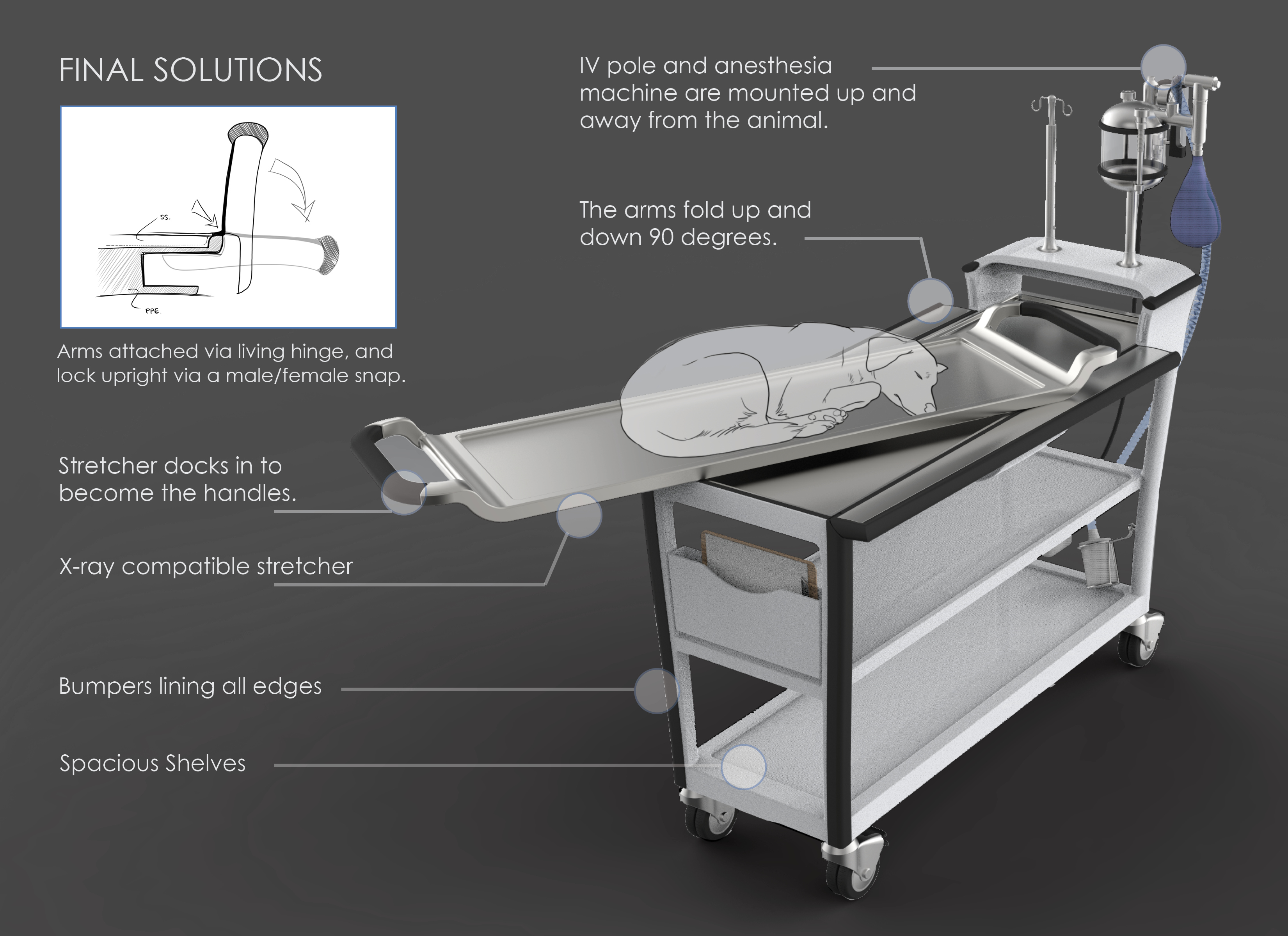 Veterinary Gurney by Elizabeth Reuter at