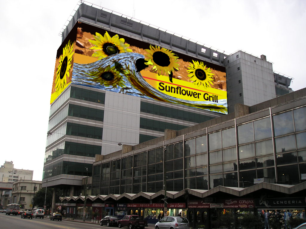 sunflower Building by Nayeli Martinez at