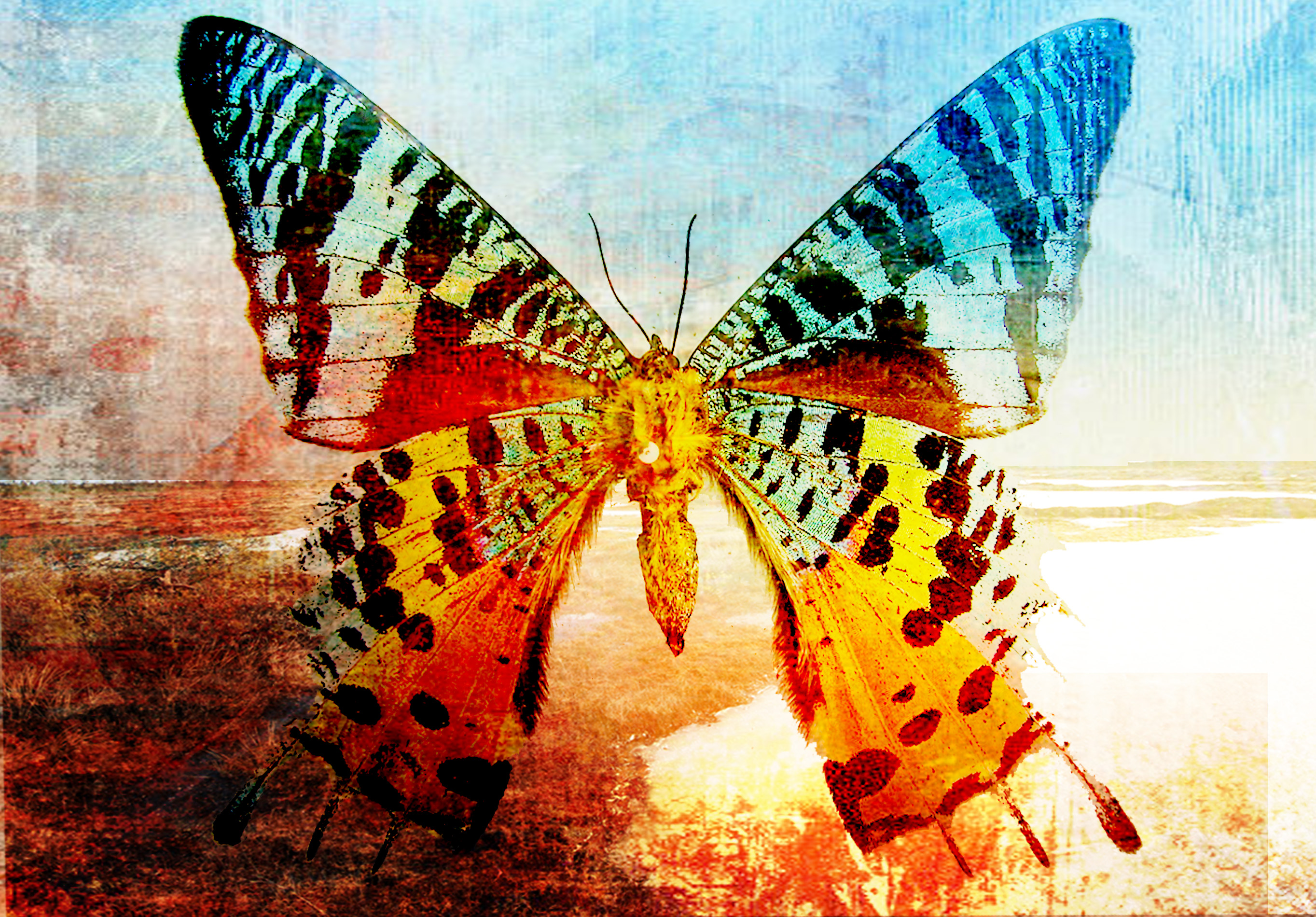 Digital Imaging Manipulation Please click on image for more samples