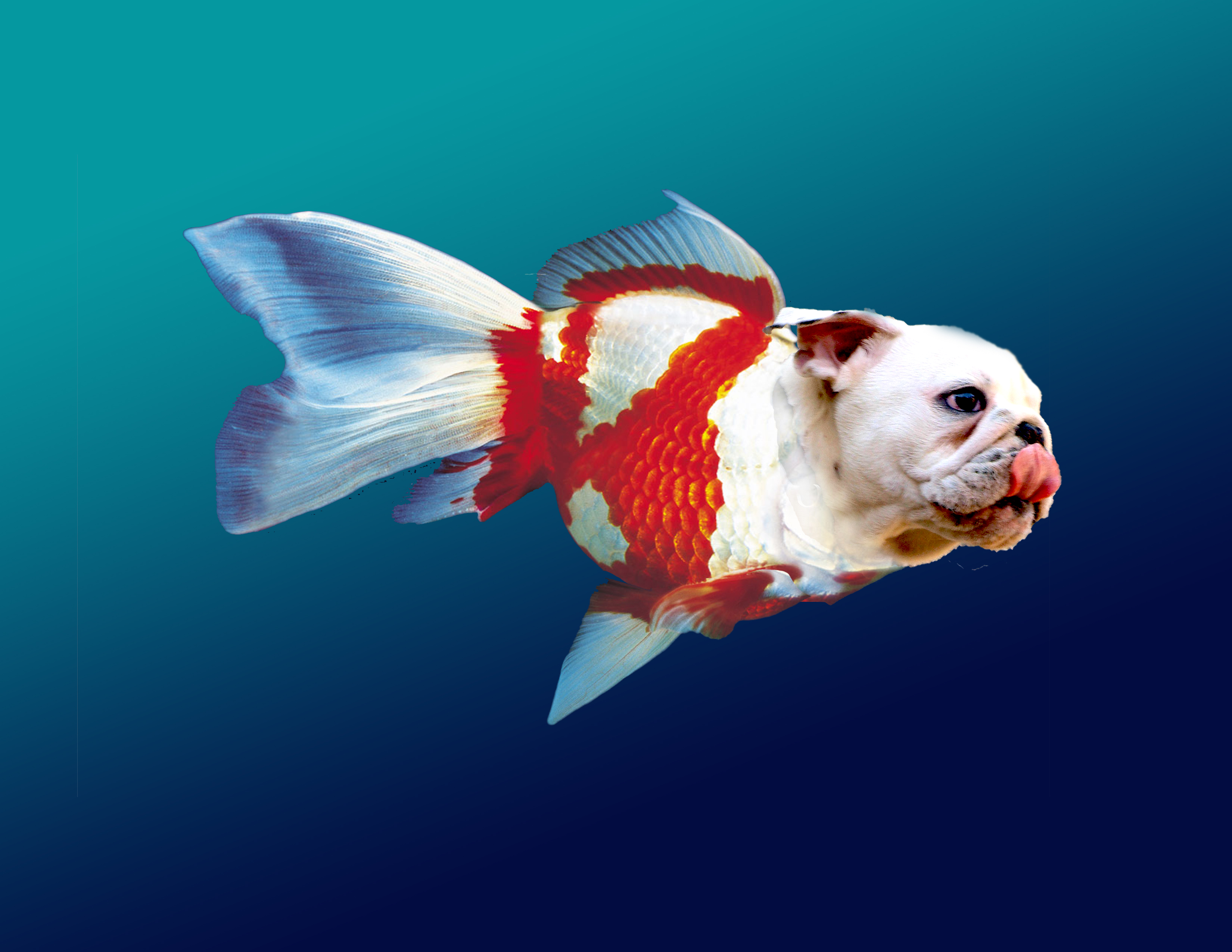 Dog and Catfish by Eric McCrary at