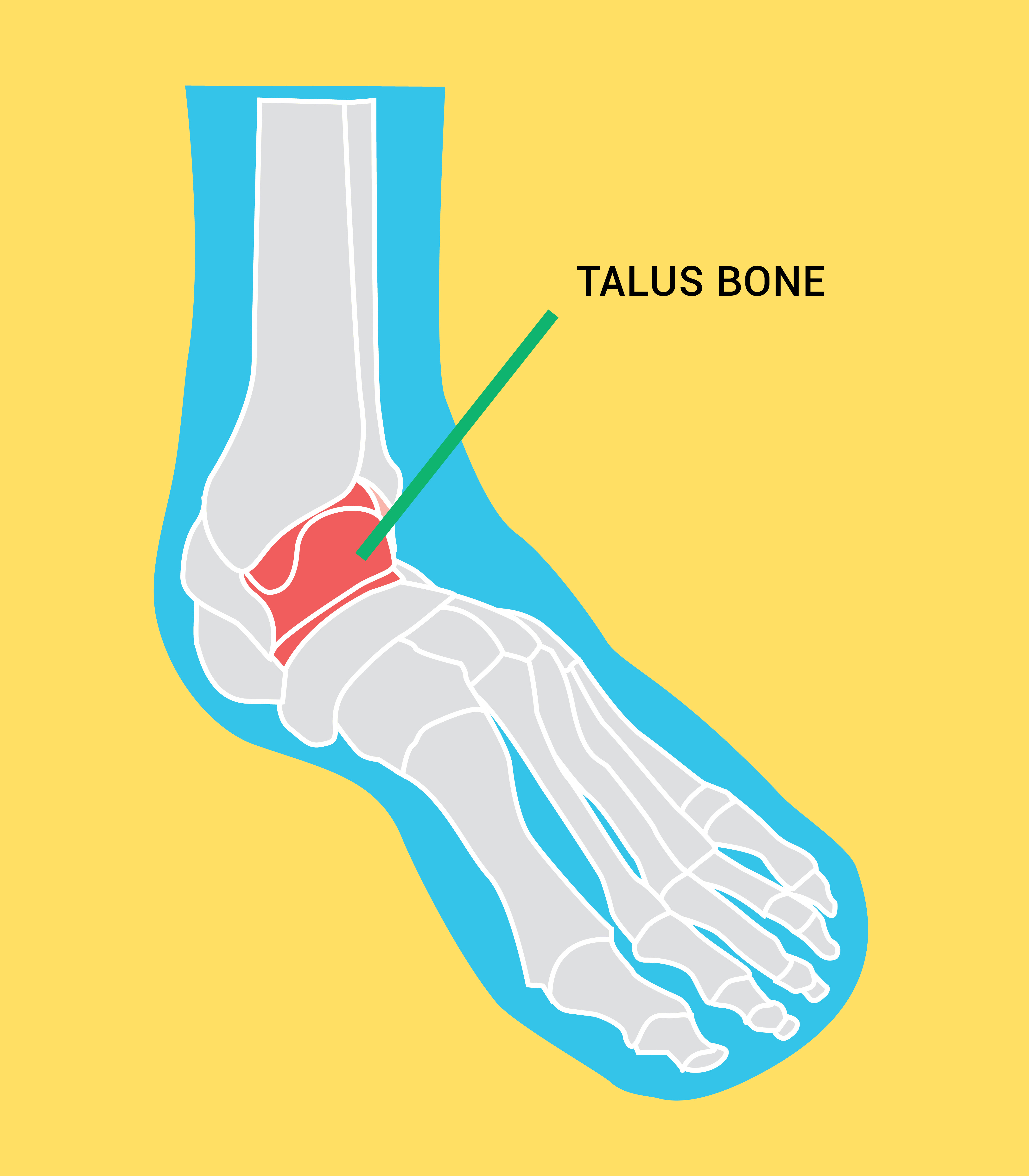 Meta Liner Protective Snowboarding Boot Liner by Jonathan Grossman at