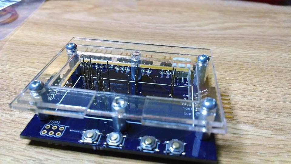 Bed of nails Testing system by Roy Cohen at