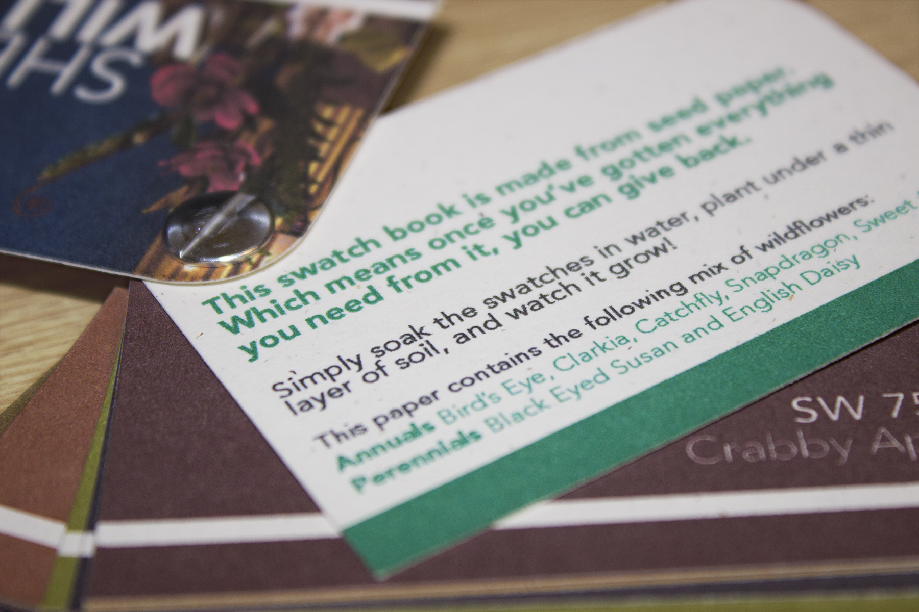 SherwinWilliams Paint Chip Booklet by Paige Asay at