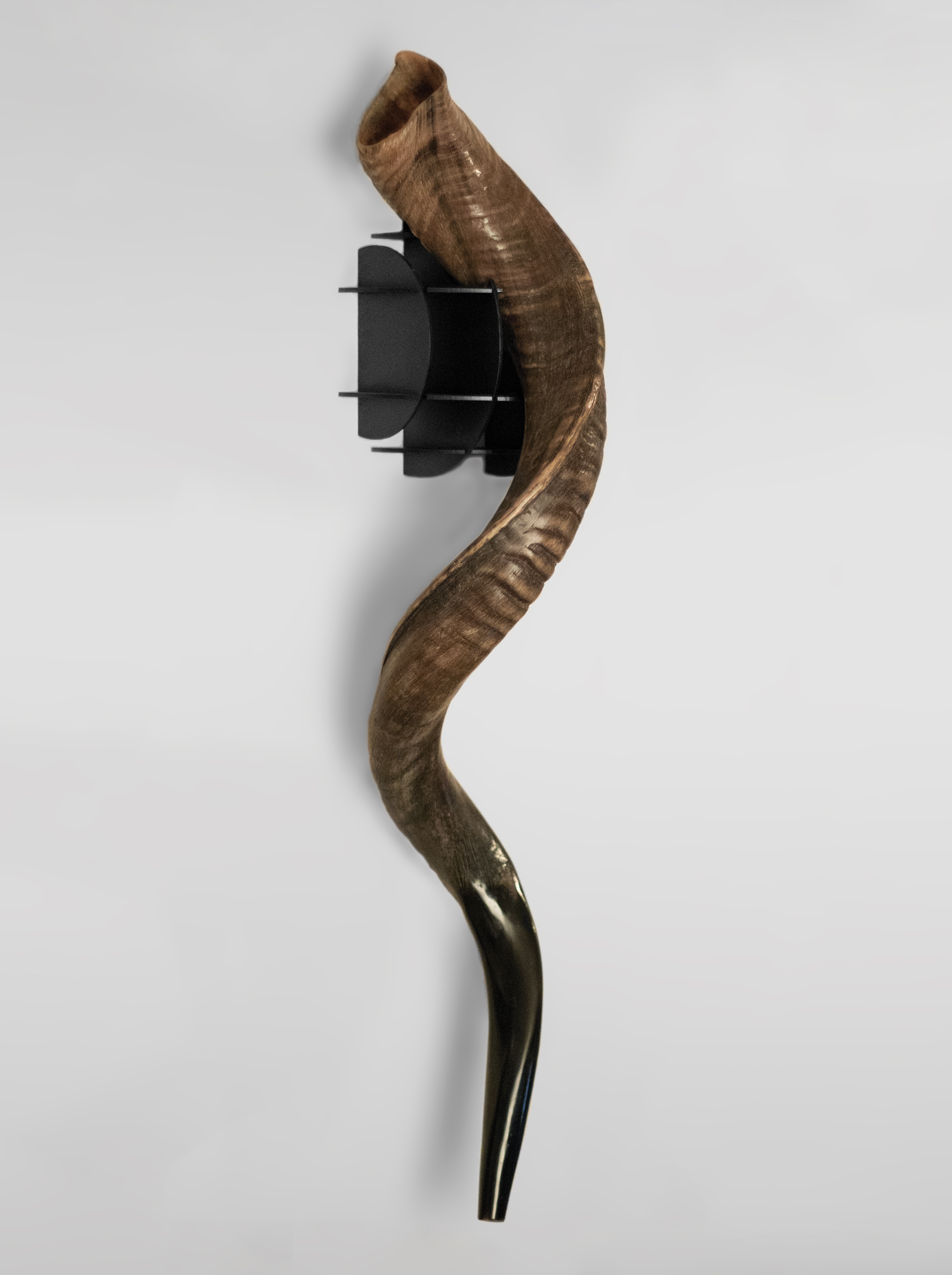 Shofar Holder by Zachary Greenbauer at