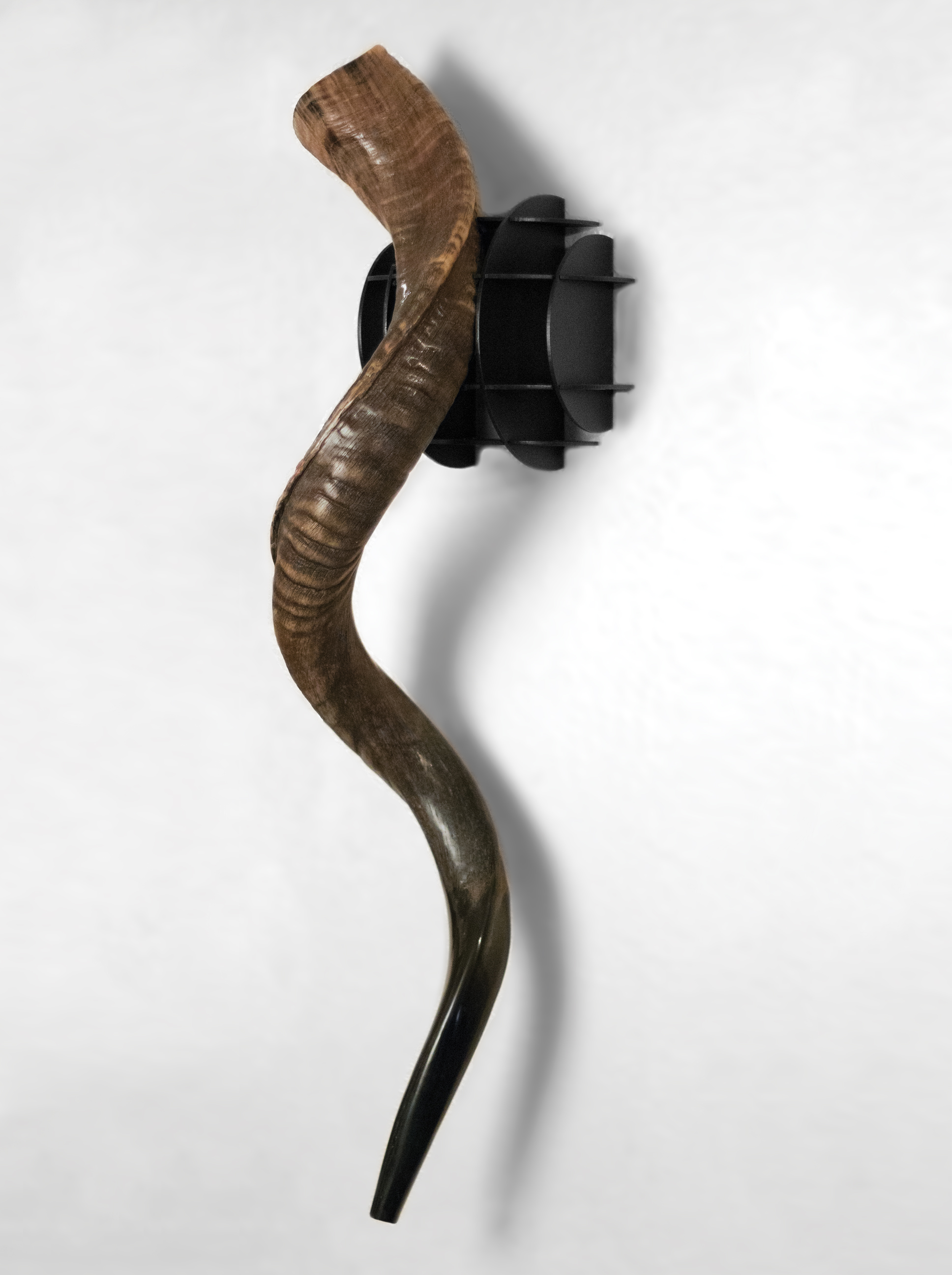 Shofar Holder by Zachary Greenbauer at