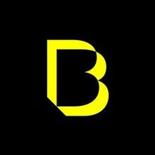 The Burson Group LLC company logo